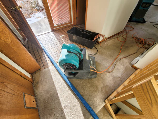 Best Water damage restoration near me  in Chisholm, MN