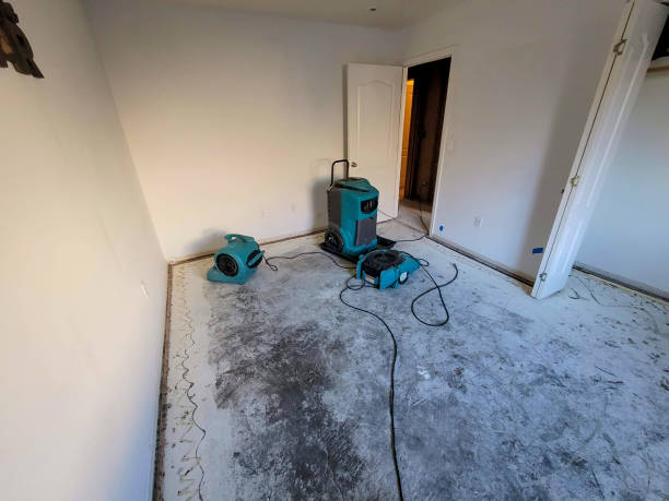 Best 24-hour water damage restoration  in Chisholm, MN