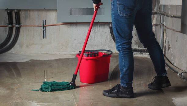 Best Mold removal after water damage  in Chisholm, MN
