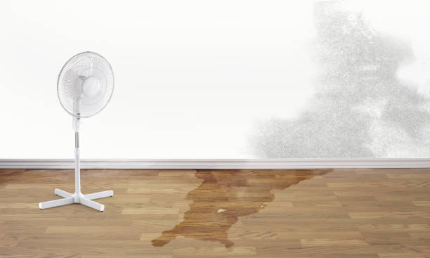 Best Fire Damage Restoration  in Chisholm, MN