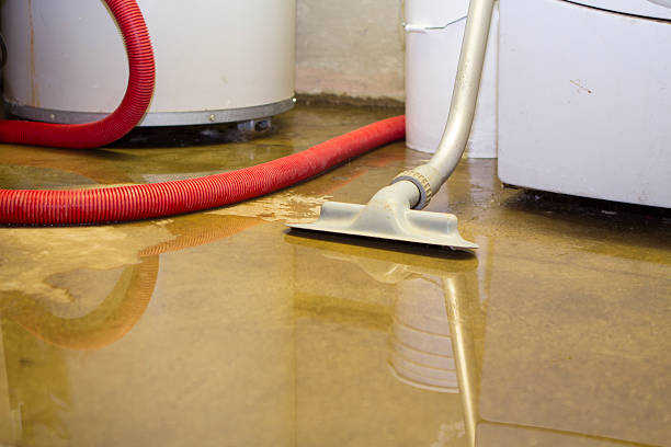 Best Carpet water damage restoration  in Chisholm, MN