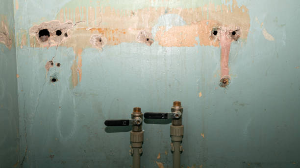 Best Flooded house restoration  in Chisholm, MN