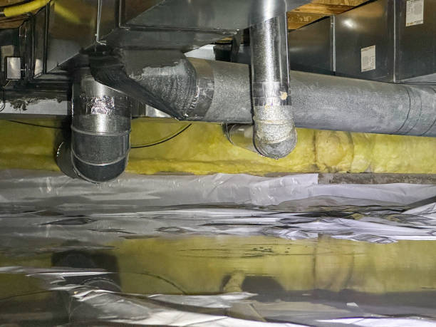 Best Water damage restoration mold remediation  in Chisholm, MN
