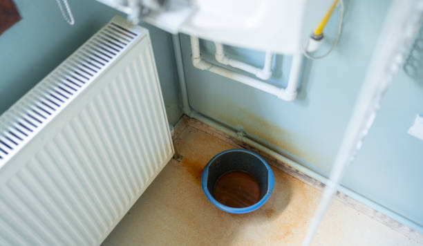 Best Flood restoration services  in Chisholm, MN